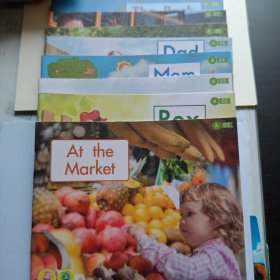 SALAD ENGLISH: Level A Book 01-08 （8册合售）at the market，zoo, dad, mom, funny things, rex, on the way to school, park