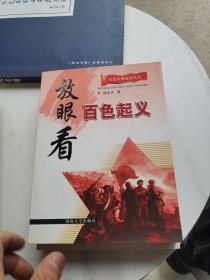 红色经典起义丛书：放眼看百色起义