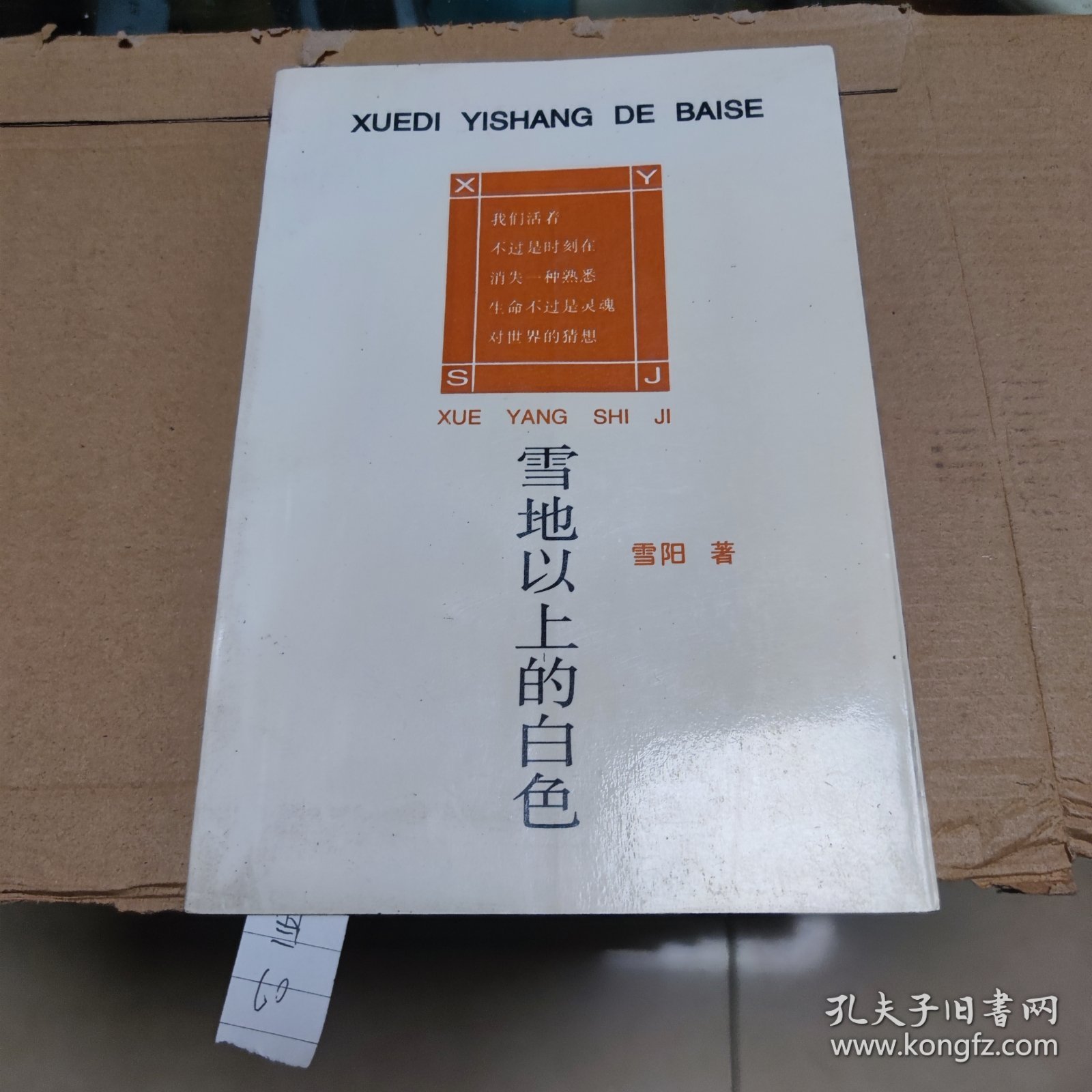 《内江作家丛书》