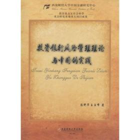 投资银行风险管理理论与中国的实践 财政金融 陈野华,王玉峰  新华正版