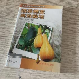 蔬菜棚室高效 栽培——南方蔬菜生产新技术丛书