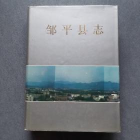 邹平县志精装一册全