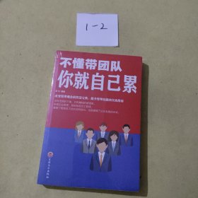 不懂带团队你就自己累