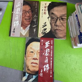 王蒙自传：半生多事、大块文章、九命七羊（全三部）