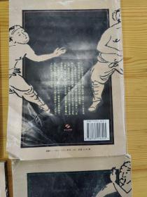 中华武术大观  6册（沙国政专辑，关永年专辑，李文彬尚芝蓉专辑，张业金专辑，张耀忠专辑，安天荣专辑）