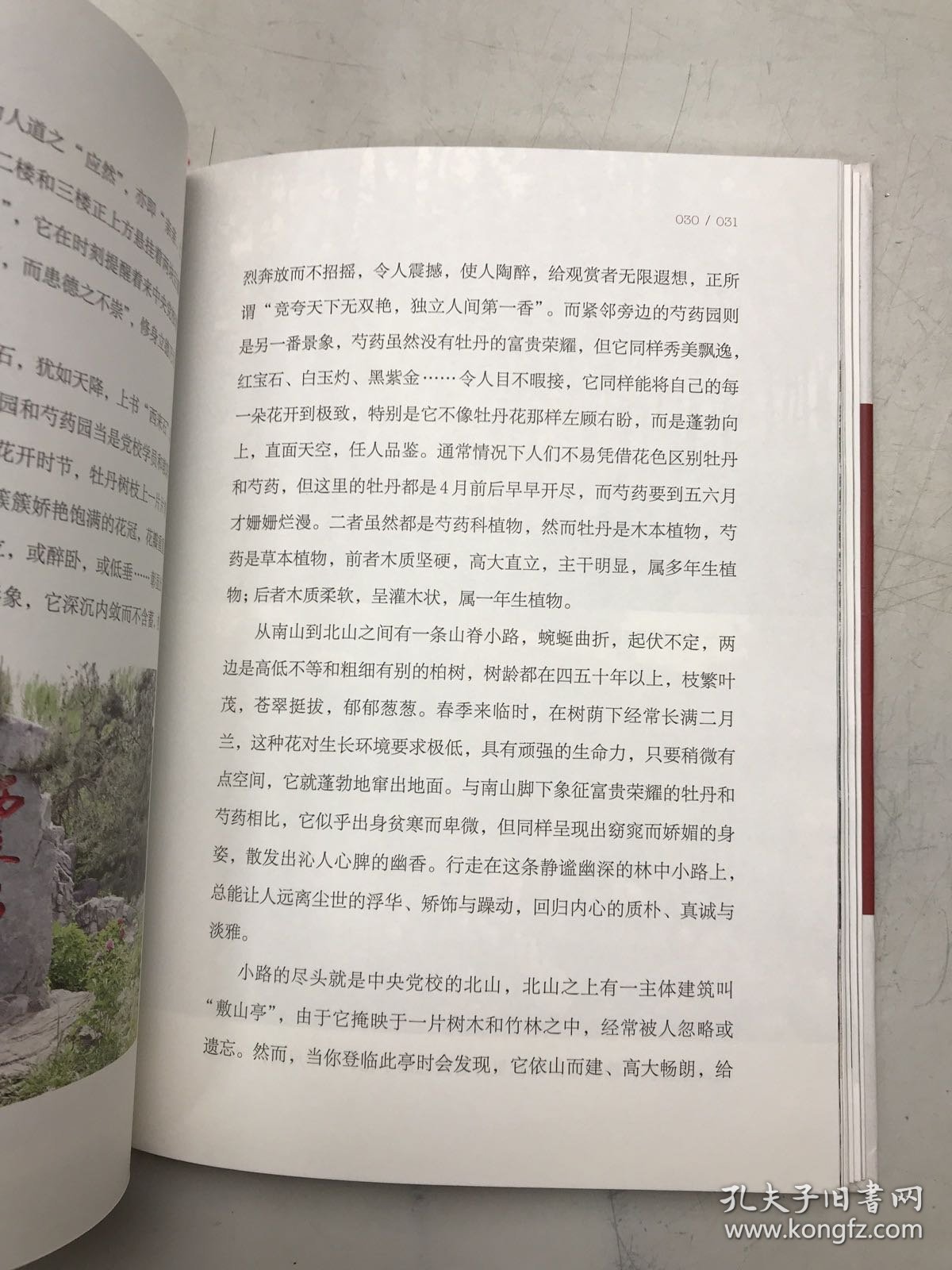 林中路向澄明心：中共中央党校（国家行政学院）校园散文集 精装版