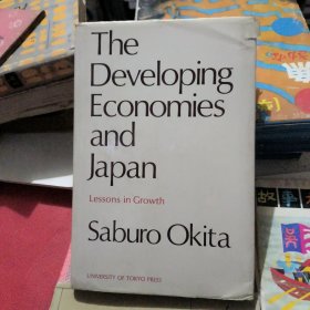 The Developing Economies and Japan（发展中经济体与日本）英文版