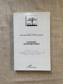 L'enquête sociolinguistique 社会语言学调查【法文版，32开】enquete