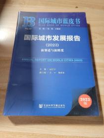 国际城市发展报告(2023年)新赛道与新纬度