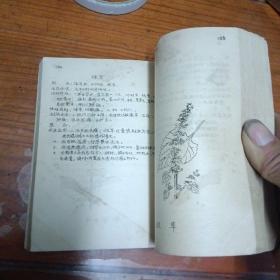 常用民间草药治疗手册
