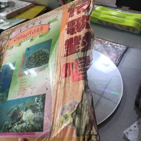 情歌对唱白胶大唱片