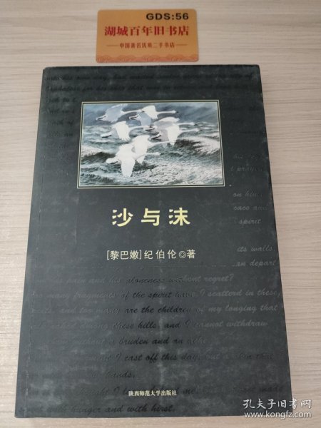 沙与沫