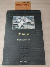 沙与沫