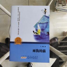 王一梅儿童文学自选精品集：雨街的猫