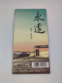 ZARD 永远 8cm 小CD