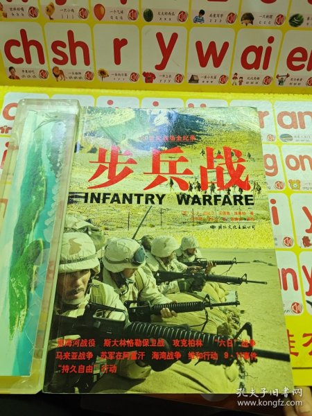 步兵战/20世纪战场全纪录