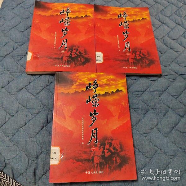 峥嵘岁月:一三四（3册合售）