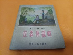 在森林湖畔