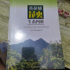 黄花城昆虫生态图册