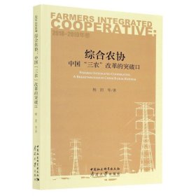 综合农协(中国三农改革的突破口2018-2019年卷)