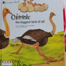 Ostrich the biggest bird of all