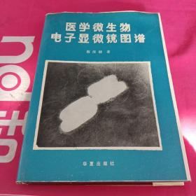 医学微生物电子显微镜图谱