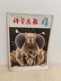 科学画报1982年4