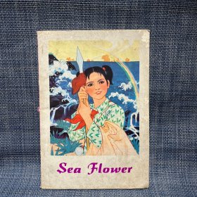 Sea Flower 海花 连环画
