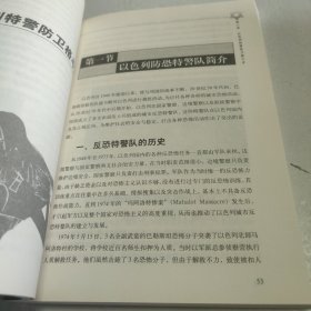 以色列最强特种搏击术：以色列特种兵、特警、保镖徒手格斗速成教程