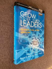 GrowYourOwnLeaders:HowtoIdentify,Develop,andRetainLeadershipTalent