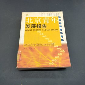 北京青年发展报告:北京青年指数2003年版