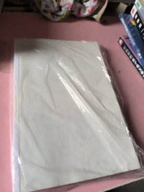 当世界停止消费 当世界停止消费，生活会变得更糟还是更好？一场针对“全人类停止消费那一天”的大胆思想实验