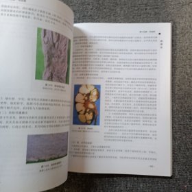 病理学 含盘