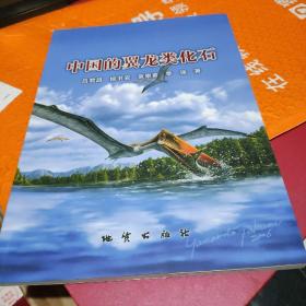 中國的翼龍類化石
