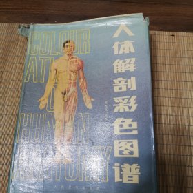人体解剖彩色图谱