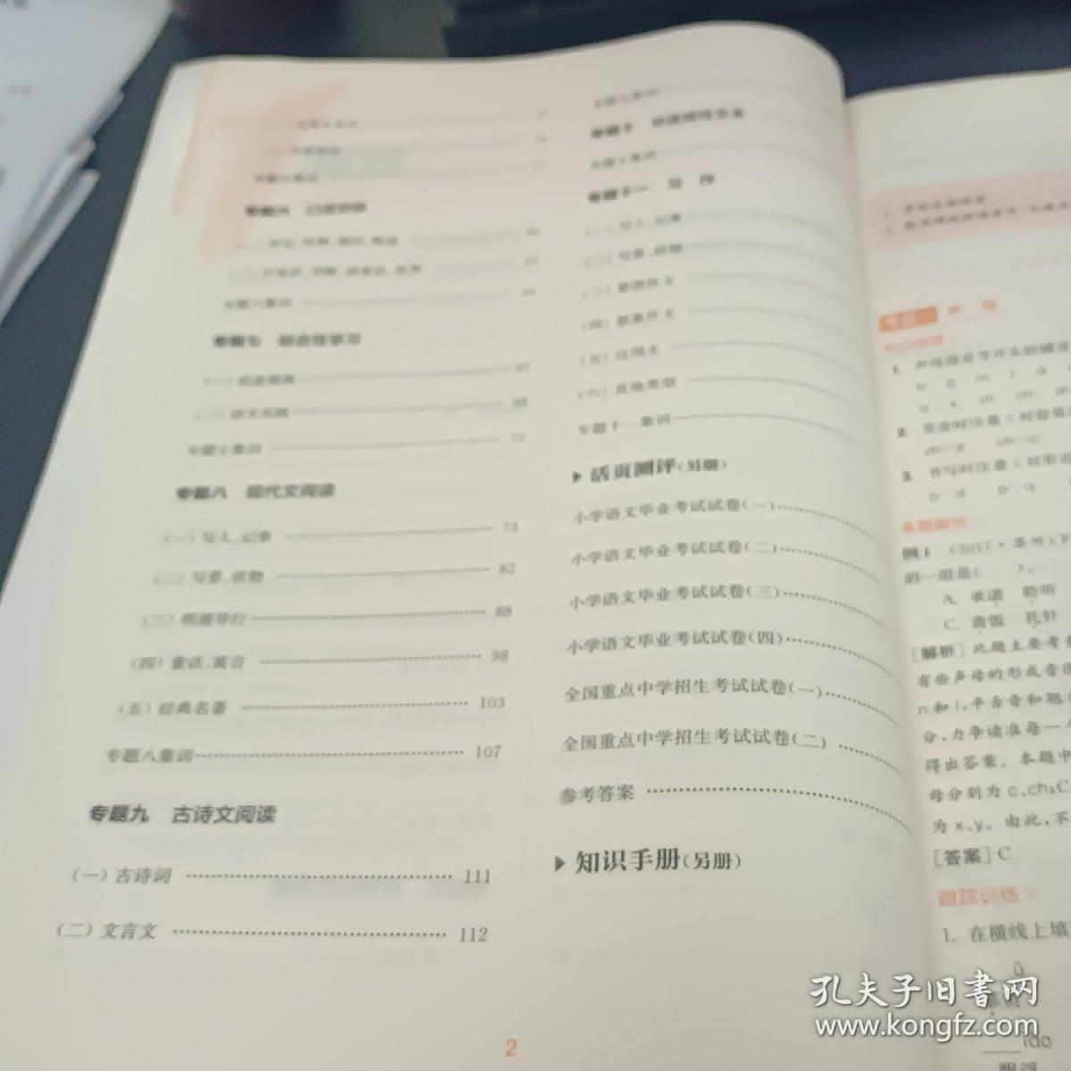 通城学典·通城1典小学总复习：语文（小考必备）