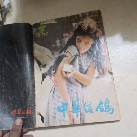 中华信鸽杂志13本打包合售，见描述。