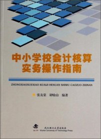 【正版书籍】中小学校会计核算实务操作指南