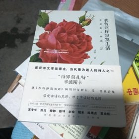 我曾这样寂寞生活：辛波斯卡诗选2