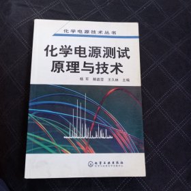 化学电源测试原理与技术——化学电源技术丛书