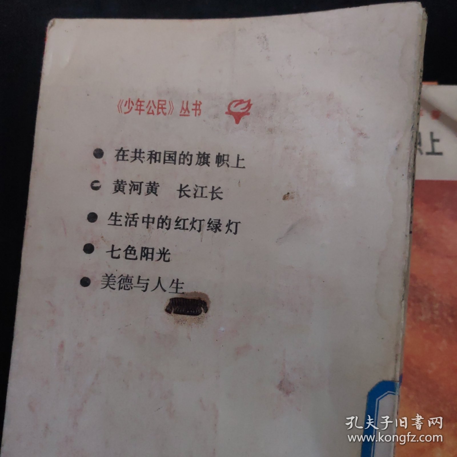 在共和国的旗帜上