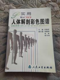 实用人体解剖彩色图谱