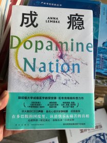 成瘾：在放纵中寻找平衡