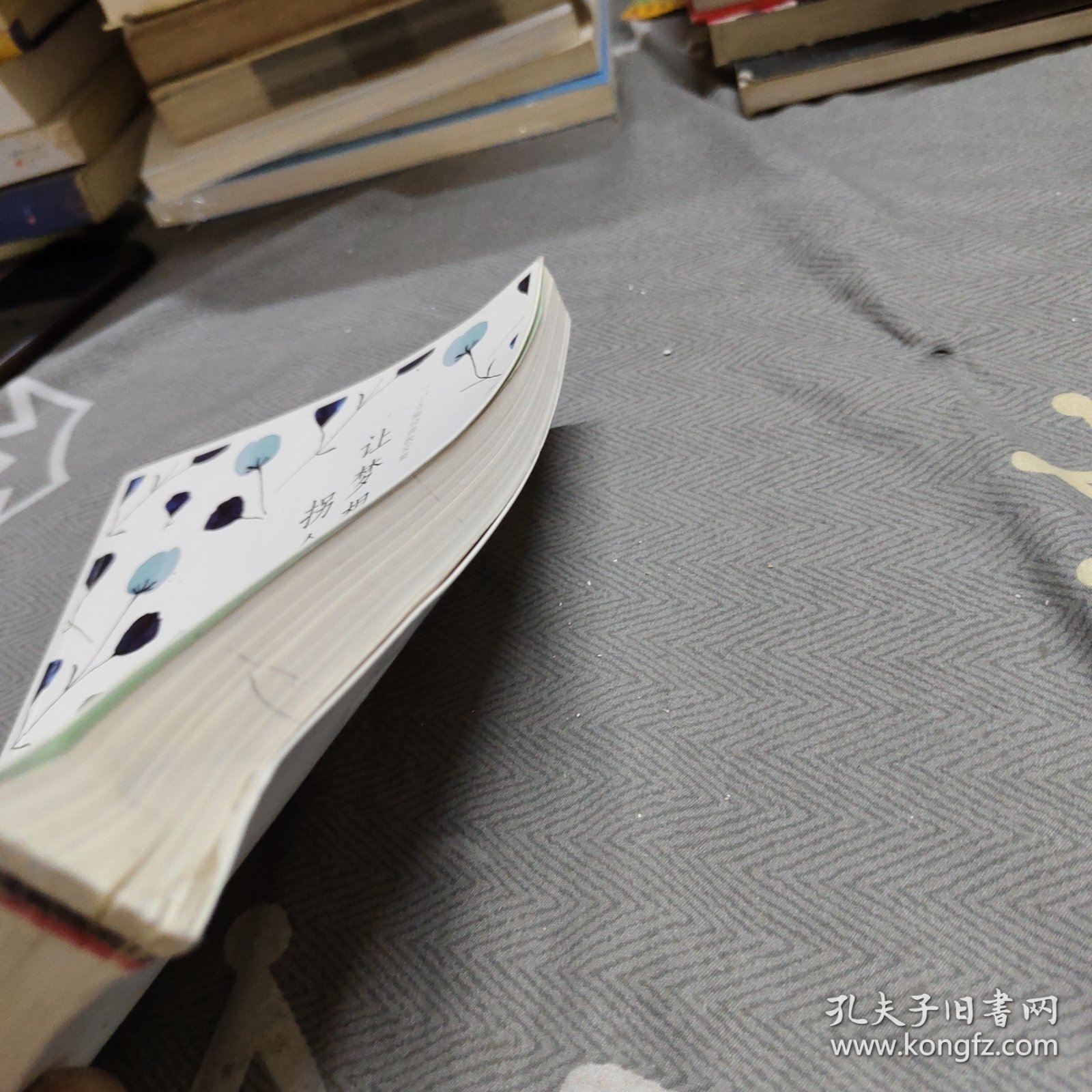 丁立梅经典散文集