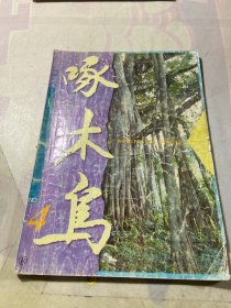 啄木鸟1996年第4期