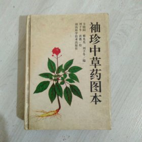 袖珍中草药图本