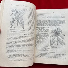 海南植物志（第四卷）精装