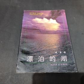 漂泊的湖