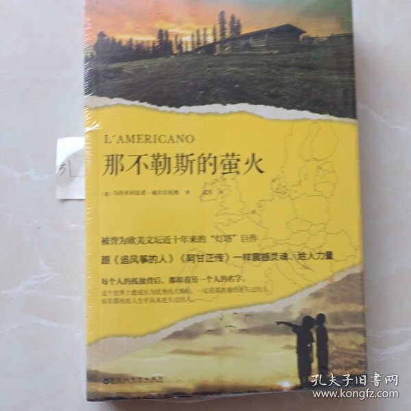 那不勒斯的萤火（被誉为欧美文坛近十年来的“灯塔”巨作，跟《追风筝的人》《阿甘正传》一样震撼灵魂、给人力量。）