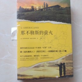 那不勒斯的萤火（被誉为欧美文坛近十年来的“灯塔”巨作，跟《追风筝的人》《阿甘正传》一样震撼灵魂、给人力量。）